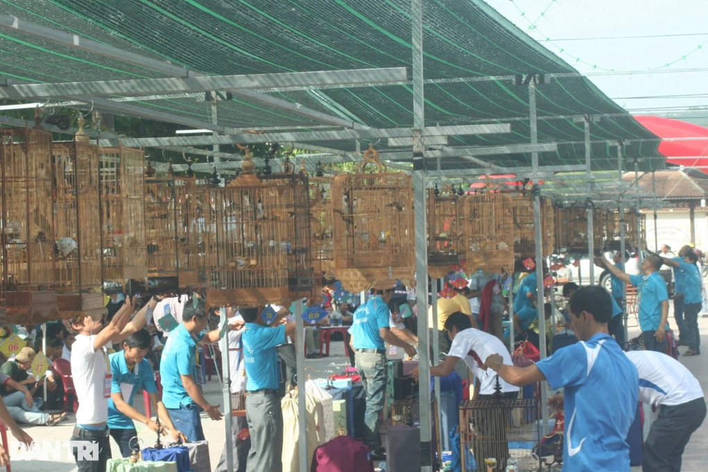Kiểm lâm Huế nói về việc đưa chim đến quán cà phê phải nêu rõ nguồn gốc - 1 Kiểm lâm Huế nói về việc “đưa chim đến quán cà phê phải nêu rõ nguồn gốc”