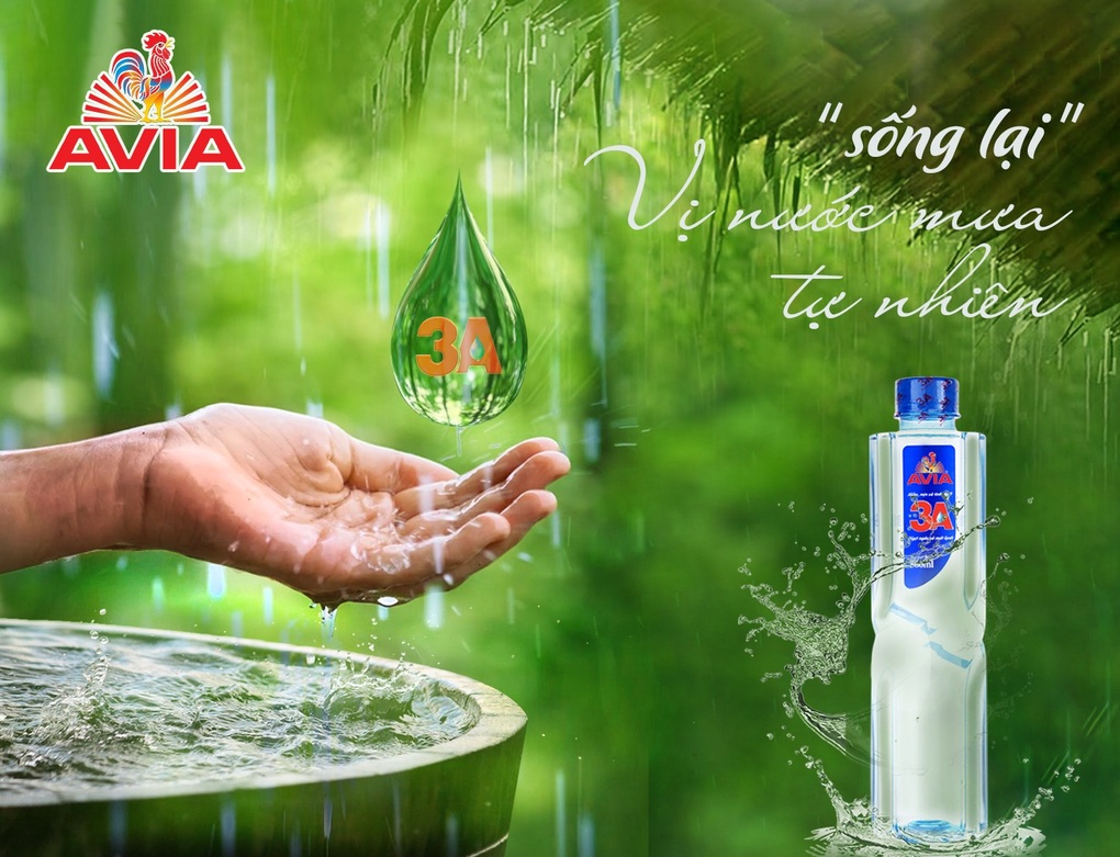 AVIA 3A: Đánh thức hương vị nguyên bản trong từng ly trà, cà phê và sữa - 1 AVIA 3A: Đánh thức hương vị nguyên bản trong từng ly trà, cà phê và sữa - 1