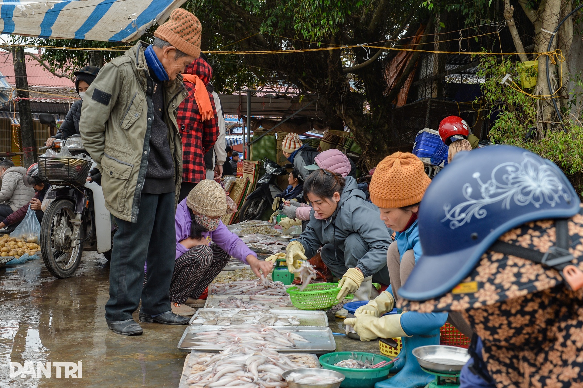 Độc đáo phiên 28 Tết ở chợ cổ gần 700 năm tuổi - 5 Độc đáo phiên 28 Tết ở chợ cổ gần 700 năm tuổi - 5