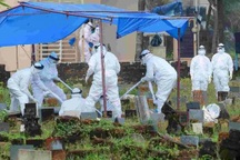 Chuyên gia: Virus Nipah có thể trở thành mối đe dọa toàn cầu như Covid-19