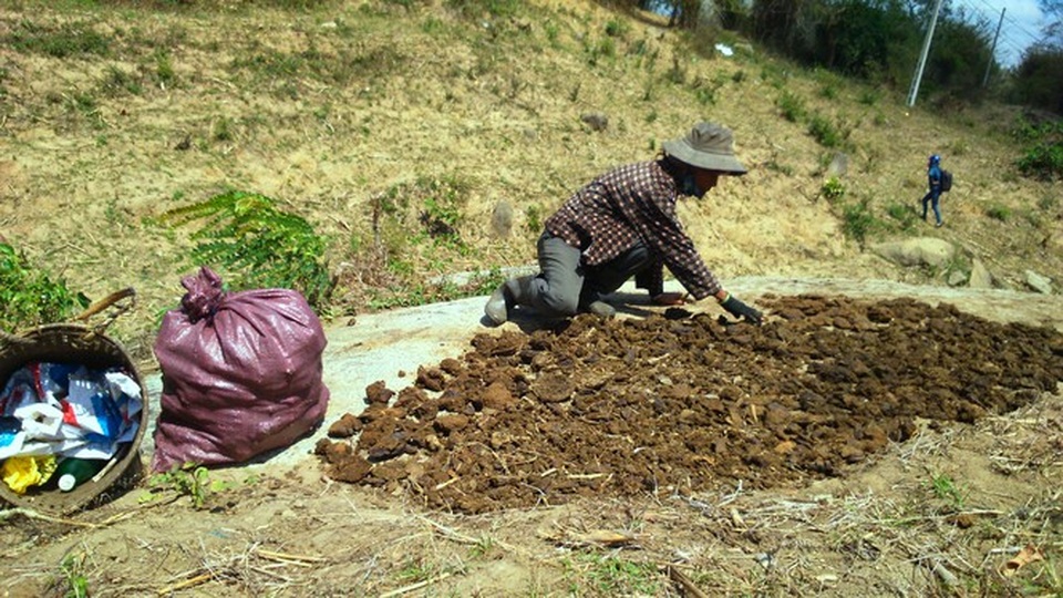 Người dân vùng sâu Đắk Lắk tăng thu nhập từ nghề... nhặt phân bò - 2 Người dân vùng sâu Đắk Lắk tăng thu nhập từ nghề... nhặt phân bò - 2