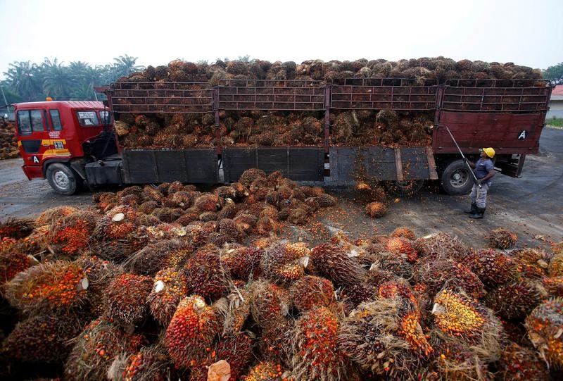 Thế giới vật lộn với nỗi sợ mới mang tên dầu ăn - 7 Thế giới vật lộn với nỗi sợ mới mang tên dầu ăn - 7