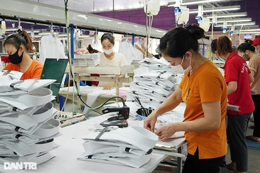 100% hồ sơ trợ cấp thất nghiệp được giải quyết đúng quy định