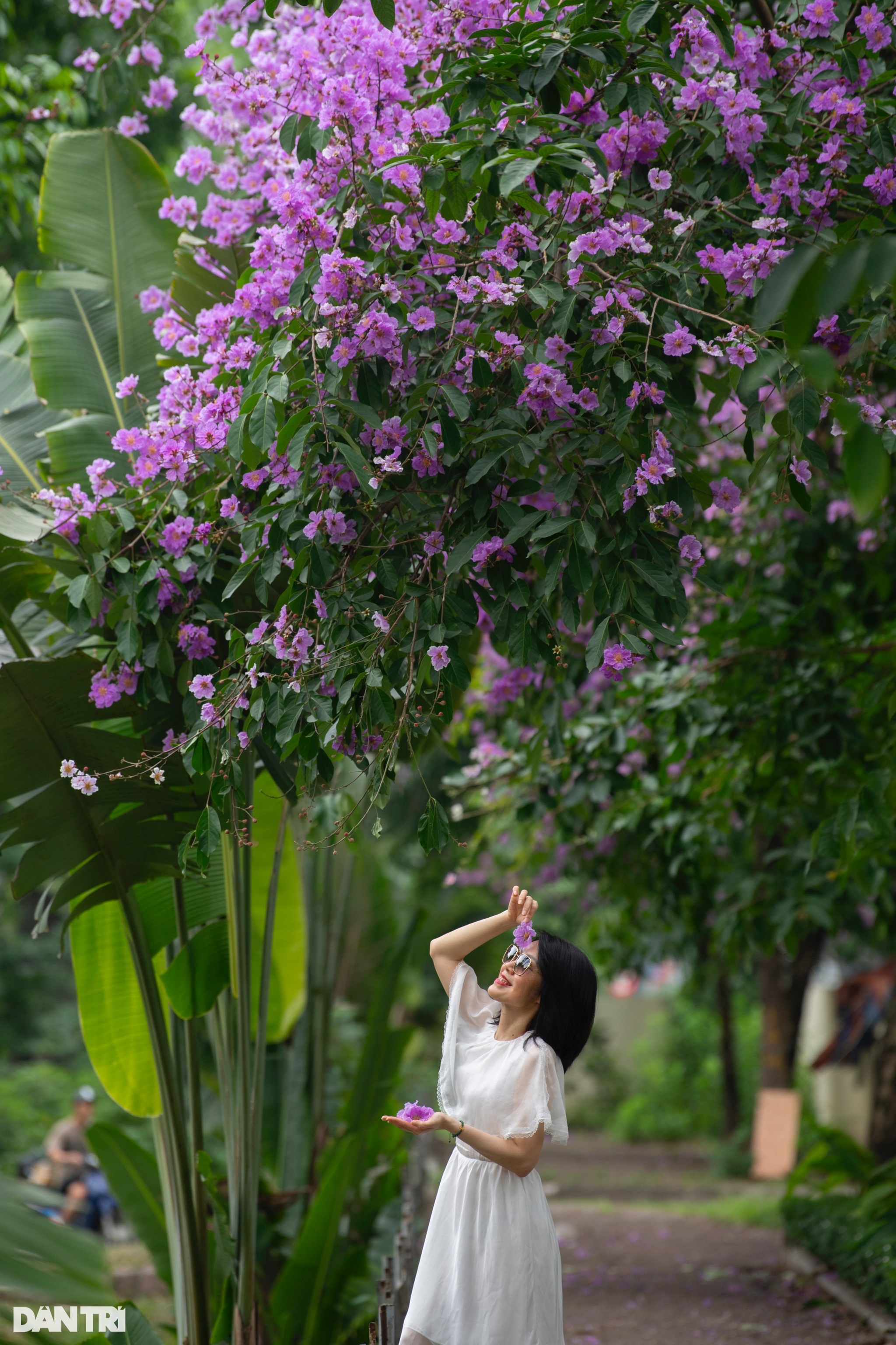 Giới trẻ xin nghỉ làm, tranh thủ 