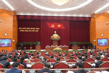 Nghiên cứu sắp xếp lại các tổ chức chính trị - xã hội và hội quần chúng