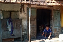 Cay đắng cảnh cha “gần đất xa trời” nuôi con tâm thần