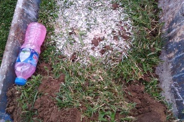 Sân Thiên Trường bị yểm bùa trước trận CLB Nam Định gặp Quảng Nam?