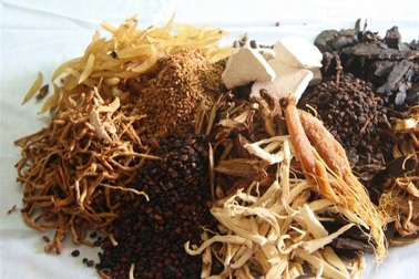 TPHCM xem xét đề xuất phòng, chống Covid-19 bằng phương pháp cổ truyền