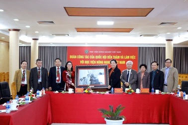 Giải mã lý do chọn Học viện Nông nghiệp Việt Nam