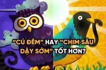 "Cú đêm" hay "chim sâu dậy sớm" tốt hơn?