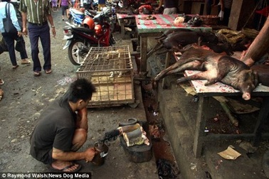 Chợ ẩm thực “kinh hoàng” nhất thế giới