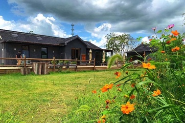 Người đàn ông mua đất ngoại thành trồng lúa, dạy con làm nông