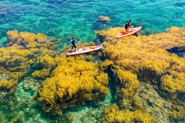 Dự án tỷ đô thúc đẩy du lịch Quy Nhơn thăng hoa