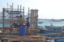 Quảng Ngãi: Ngư dân vay hàng trăm triệu đồng phát triển thủy sản sau bão