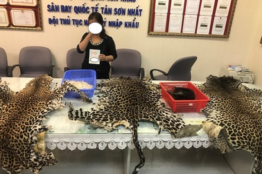 Phát hiện vụ vận chuyển đuôi voi, da báo gấm qua sân bay