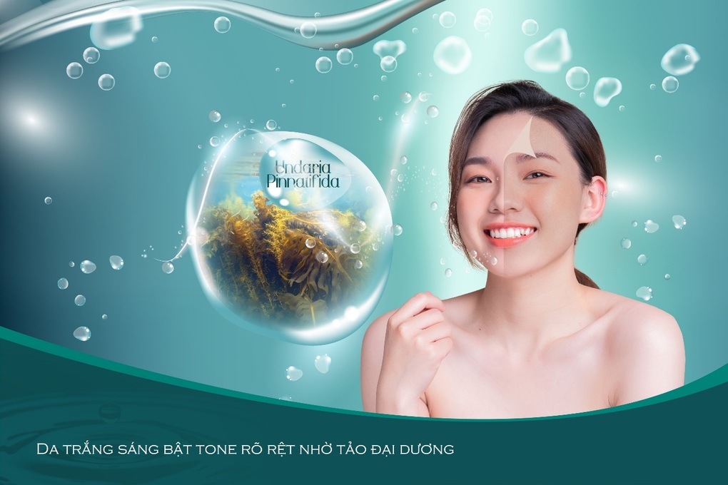 Công dụng tái tạo da của tảo đại dương - 1 Công dụng tái tạo da của tảo đại dương - 1