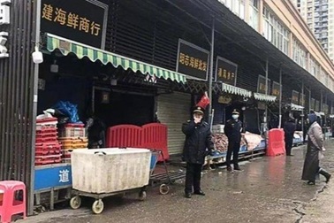 Gần 50.000 động vật hoang dã được bán ở Vũ Hán trước khi Covid-19 bùng phát