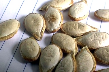 Chữ Nho xuất hiện trên hạt bí?