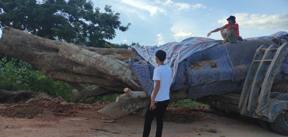 Quái thú lớn chưa từng có biến mất khỏi xứ Nghệ trong đêm - 4 Quái thú lớn chưa từng có biến mất khỏi xứ Nghệ trong đêm - 4