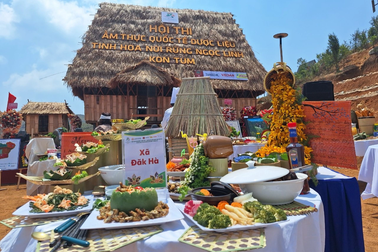 Xác lập kỷ lục Việt Nam về 120 món ăn được chế biến từ sâm dây ở Kon Tum