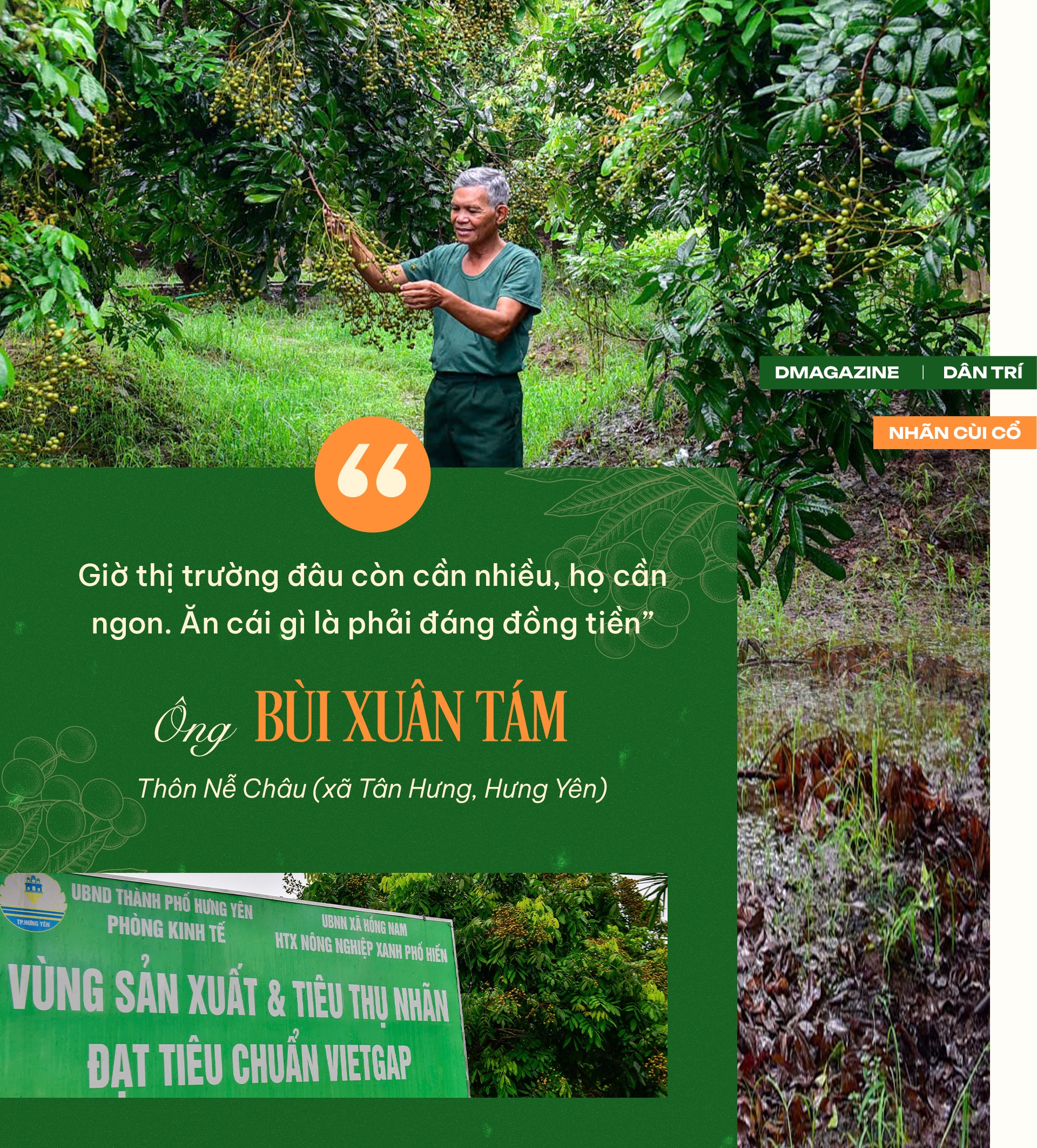 Quyết giữ “lộc phẩm tiến vua”, lão nông thu loại nhãn đắt gấp 10 lần - 9 Quyết giữ “lộc phẩm tiến vua”, lão nông thu loại nhãn đắt gấp 10 lần - 9
