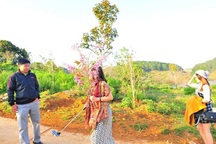 Vụ Phó Giám đốc sở "bẻ hoa" ở Đà Lạt: Bình Thuận chỉ đạo làm rõ