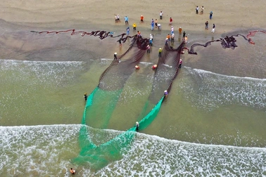 VN-Index bị đánh bay 22 điểm: Mùa thu lưới của giới đầu tư?