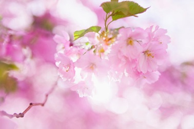 Những ngày cuối năm