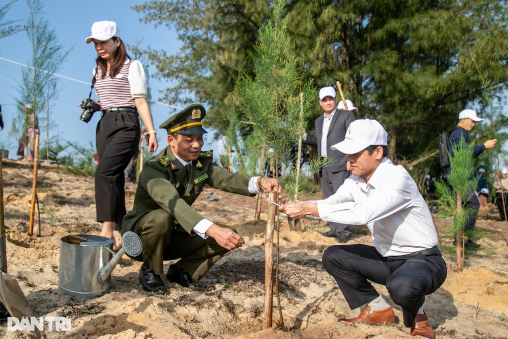 Quảng Bình trồng hơn 300.000 cây xanh đầu Xuân Giáp Thìn - 1