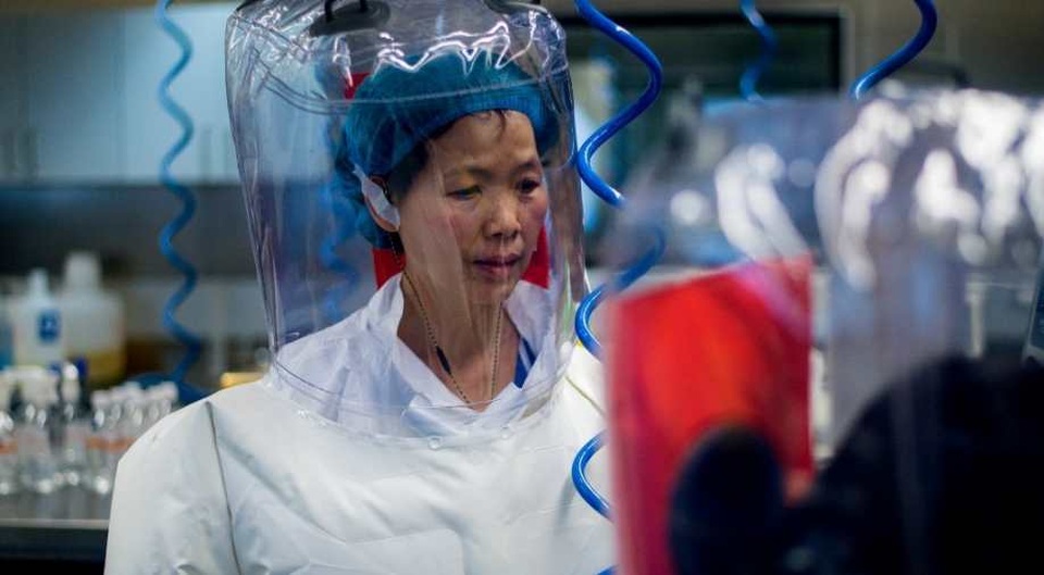 Viện Virus học Vũ Hán: SARS-CoV-2 chỉ là “phần nổi của tảng băng” - 1 Viện Virus học Vũ Hán: SARS-CoV-2 chỉ là “phần nổi của tảng băng” - 1