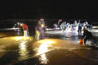 Sau bão, người dân lại đổ xô ra biển "hốt" ngao