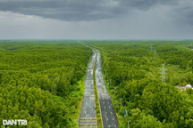 TPHCM đề cử rừng Cần Giờ thành khu Ramsar