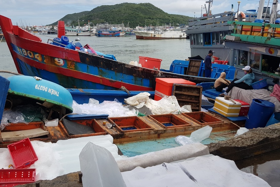 Khánh Hòa: Ngư dân hối hả vươn khơi Trường Sa sau bão số 13 - 4 Khánh Hòa: Ngư dân hối hả vươn khơi Trường Sa sau bão số 13 - 4