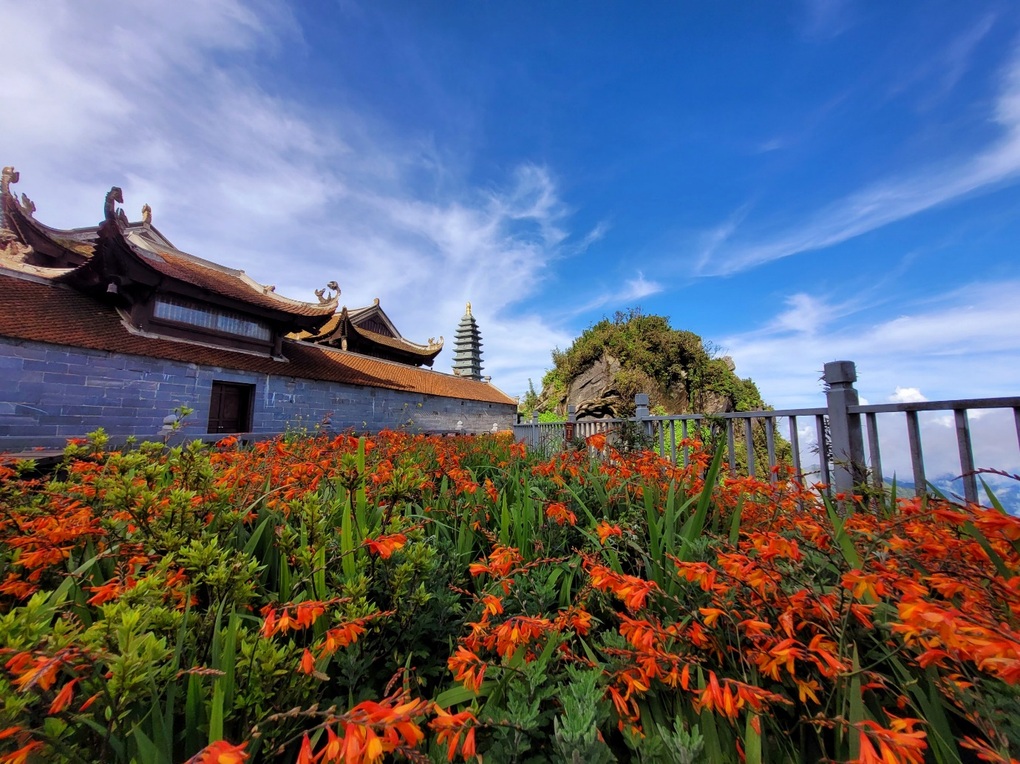 Ruộng bậc thang hoa dơn lúa nở rực trên đỉnh thiêng Fansipan - 2 Ruộng bậc thang hoa dơn lúa nở rực trên đỉnh thiêng Fansipan - 2