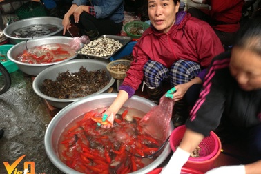 Tết ông Công ông Táo: Thu trăm triệu đồng nhờ bán cá chép phóng sinh, cá chép thịt