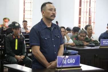 “Sếp” kiểm lâm xin gỗ của trùm gỗ lậu để làm nhà ?