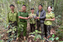 Đi chơi về, phát hiện Tê tê chạy qua đường