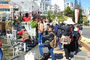 Du khách mê mẩn chụp ảnh với đoàn tàu lửa bằng hoa