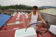 Một hộ dân Hải Phòng dùng 60 thùng xốp chống bão Yagi