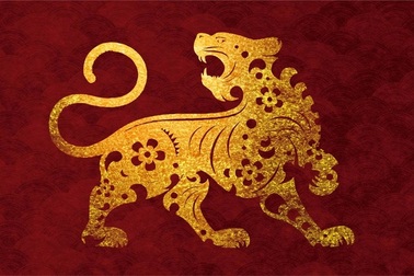 Năm tuổi có gặp "xui" như nhiều người lo lắng?