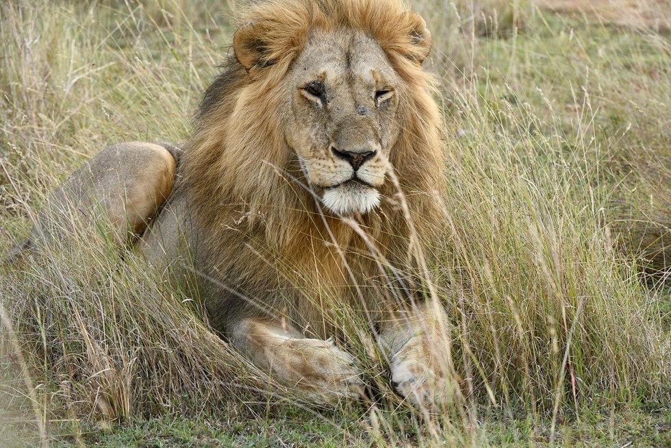 Nữ du khách Việt dành 3 triệu USD đi 104 quốc gia, 6 lục địa - 11 Nữ du khách Việt dành 3 triệu USD đi 104 quốc gia, 6 lục địa - 11