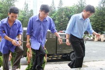 Ông chủ "động" mát xa kích dục Tân Hoàng Phát lãnh 12 năm tù