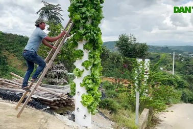 Tuyệt kỹ trồng rau "trên trời" của nông dân Lâm Đồng