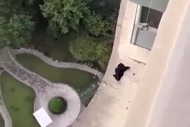 Cách xử lý thông minh khi làm rơi đồ