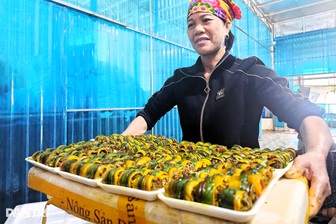 Đơn hàng chế biến lươn đến cả tấn, thợ làm không ngơi tay