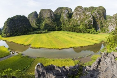 Sững sờ trước vẻ đẹp quyến rũ của Tam Cốc mùa lúa chín