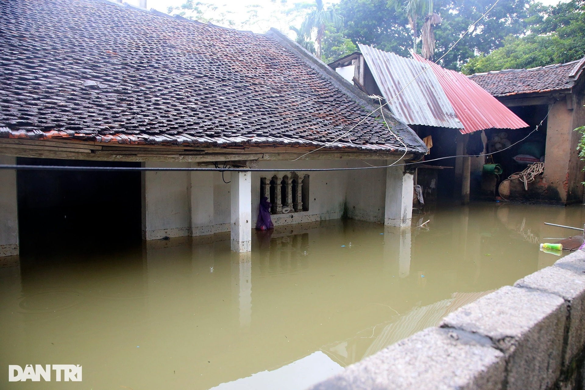 Nhiều thôn xóm ngoại thành Hà Nội ngập sâu trong nước - 3