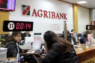 Agribank chuyển mình từ thành công tái cơ cấu