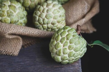 Ăn na cần biết 4 điều này để không gây hại cho sức khỏe