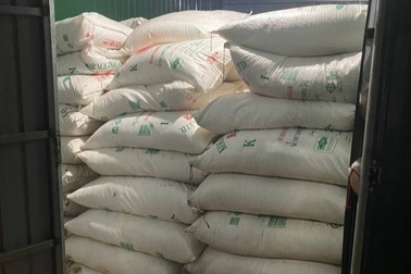 Quảng Trị: Hơn 40 tấn đường kính lậu tuồn qua biên giới